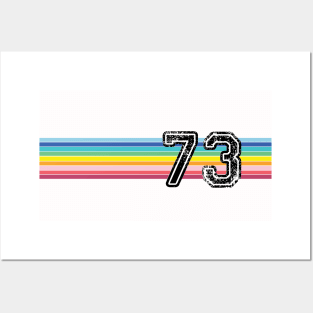 73 what a year! Posters and Art